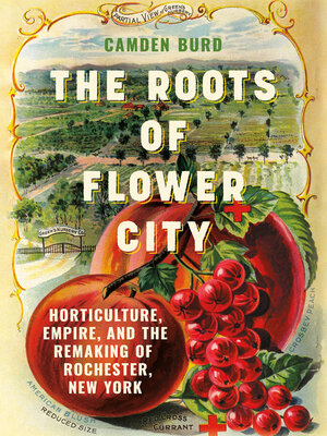 cover image of The Roots of Flower City